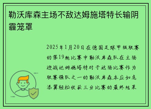 勒沃库森主场不敌达姆施塔特长输阴霾笼罩