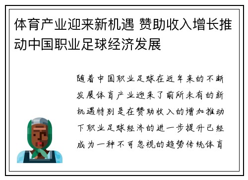 体育产业迎来新机遇 赞助收入增长推动中国职业足球经济发展